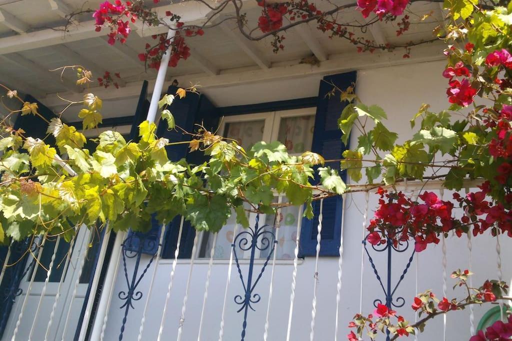 Viewtyhouse Villa Atheato Exterior photo